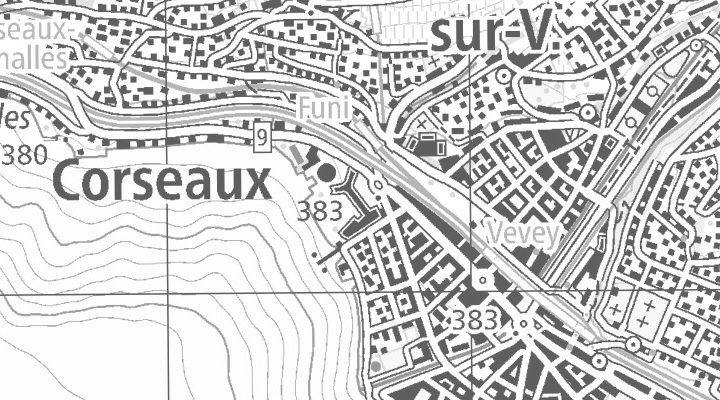 Kartenausschnitt: Av. Nestlé 55, 1800 Vevey