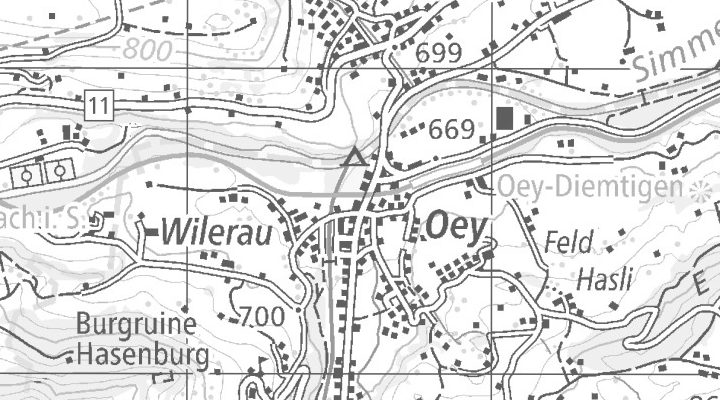 Kartenausschnitt: Diemtigtalstrasse 22, 3753 Oey
