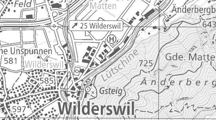 Kartenausschnitt: Bönigstrasse 17, 3812 Wilderswil