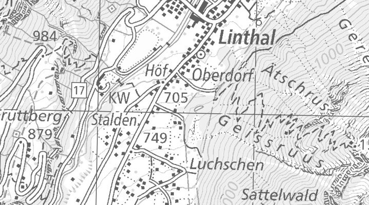 Kartenausschnitt: 8783 Linthal