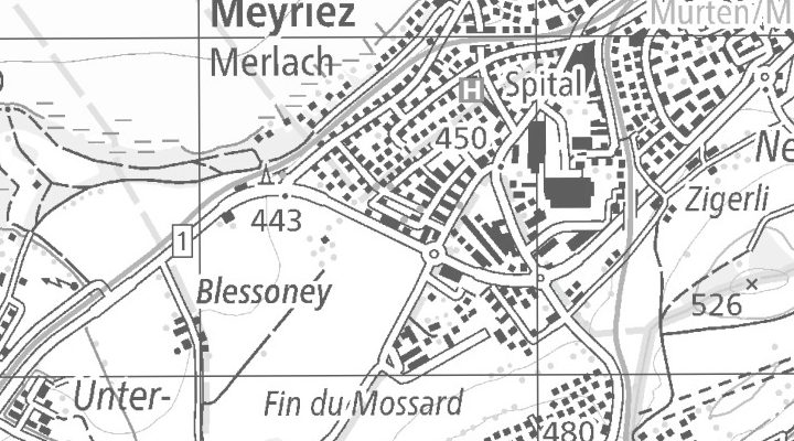 Kartenausschnitt: Merlachfeld 215, 3280 Murten