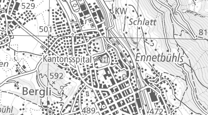 Kartenausschnitt: Burgstrasse 99, 8750 Glarus