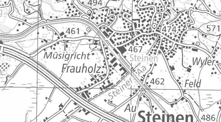 Kartenausschnitt: Frauholzstrasse 9, 6422 Steinen
