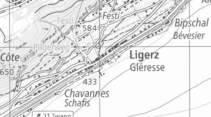 Kartenausschnitt: 2514 Ligerz