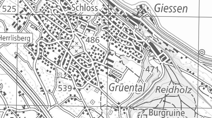 Kartenausschnitt: Grüentalstrasse 14, 8820 Wädenswil