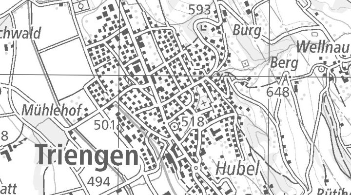 Kartenausschnitt: Kantonsstrasse 107, 6234 Triengen