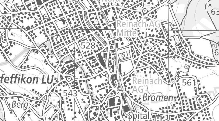 Kartenausschnitt: Hauptstrasse 55, 5734 Reinach