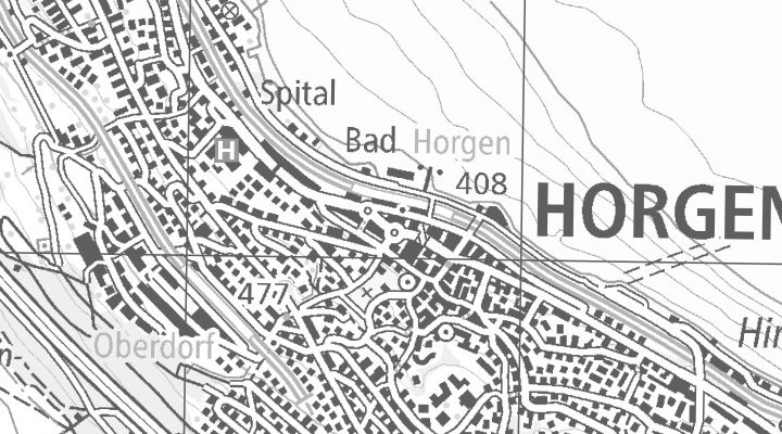 Kartenausschnitt: Seestrasse 129, 8810 Horgen