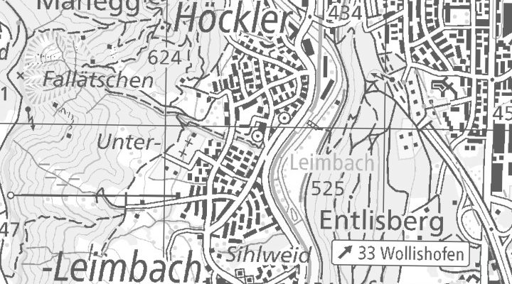 Kartenausschnitt: Maneggstrasse 17, 8041 Zürich