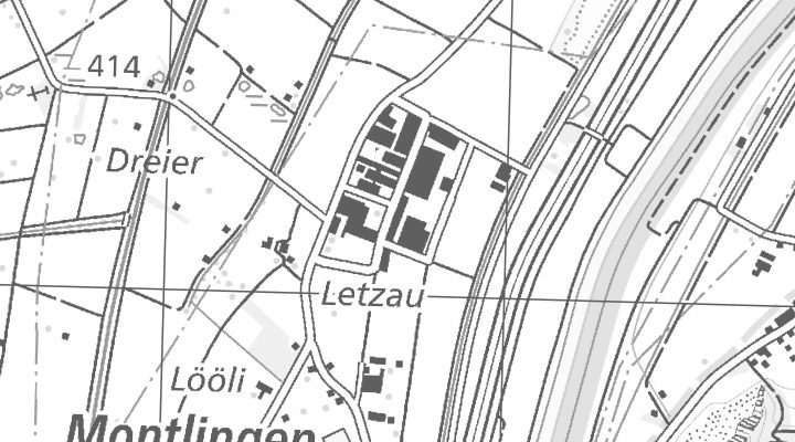 Kartenausschnitt: Letzaustrasse 7, 9462 Montlingen