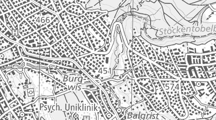 Kartenausschnitt: Witikonerstrasse 100, 8032 Zürich