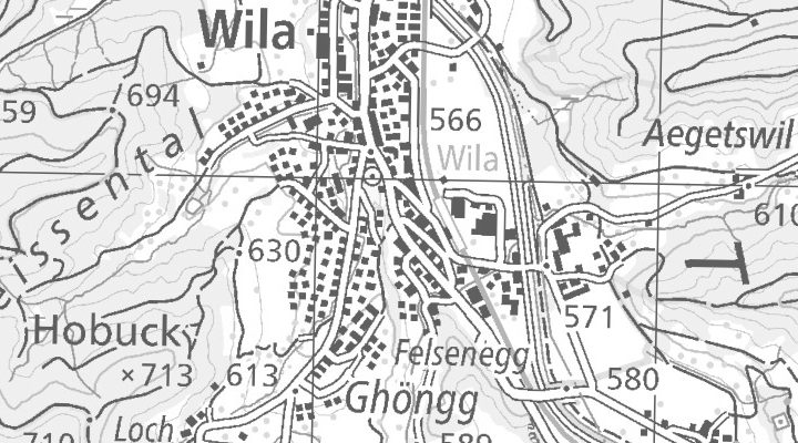 Kartenausschnitt: 8492 WIL