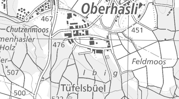 Kartenausschnitt: Buchenhagstrasse 16,, 8156 Oberhasli