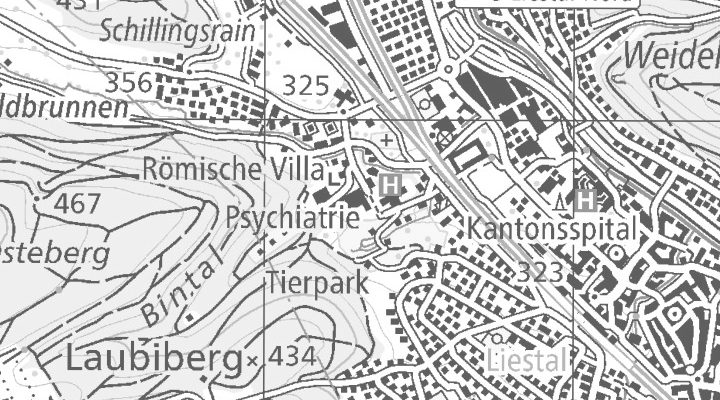 Kartenausschnitt: Bienentalstrasse 7, 4410 Liestal