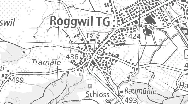 Kartenausschnitt: St. Gallerstrasse 68, 9325 Roggwil