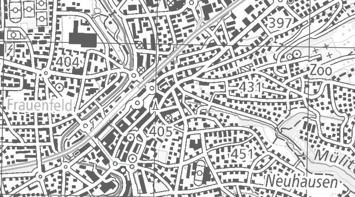Kartenausschnitt: Ringstrasse 38, 8500 Frauenfeld